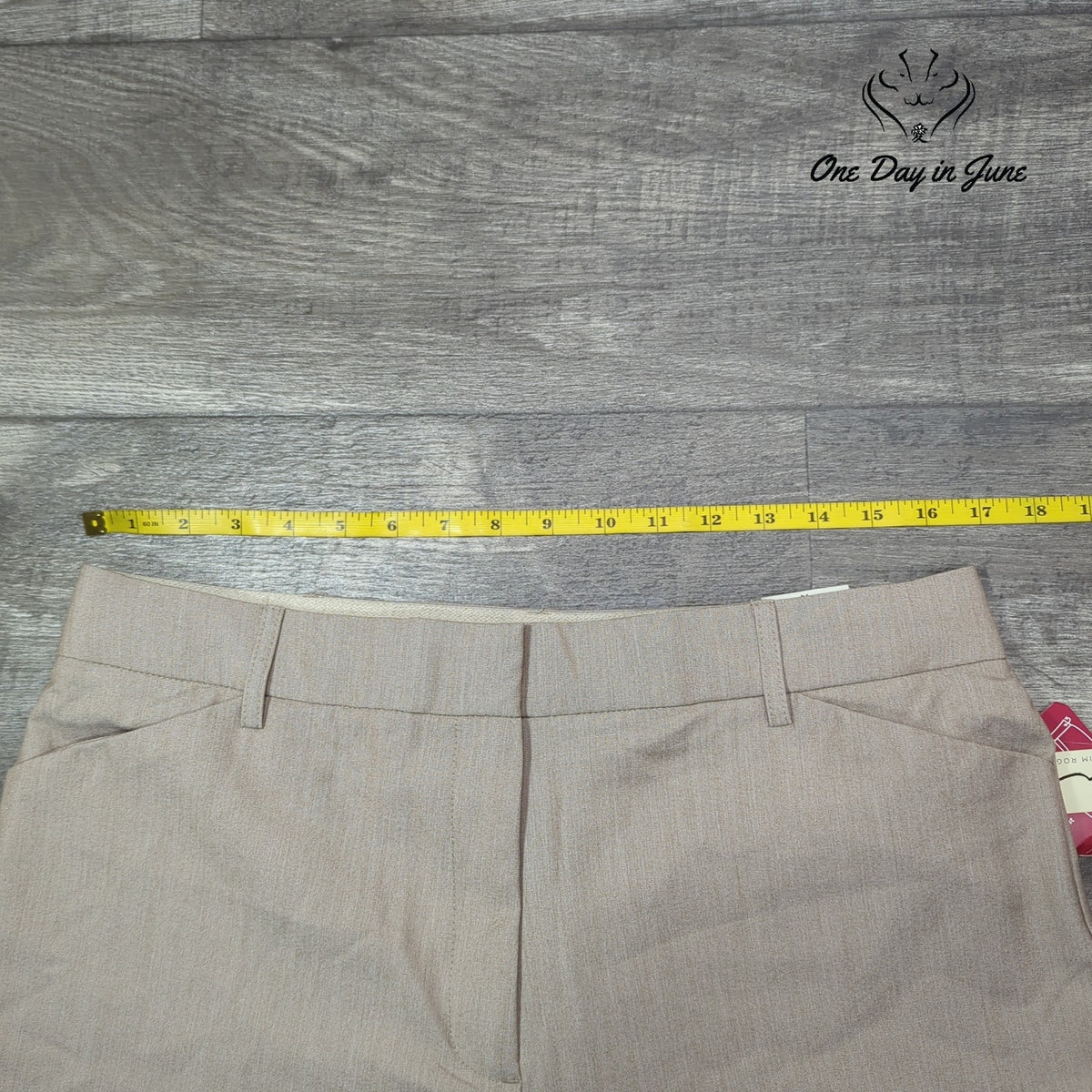 Kim Rogers Fit Solutions Comfort Waist Dress Pants Beige Tan NWT Size 14