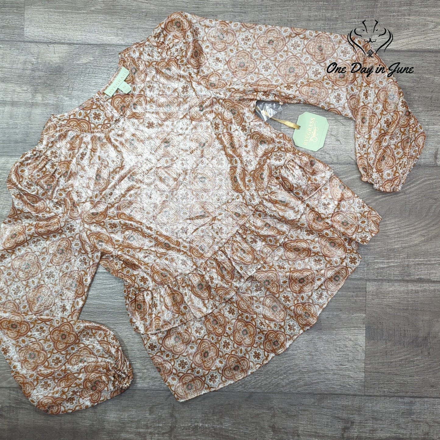 Ryegrass Long Sleeve Sheer Top Size XS