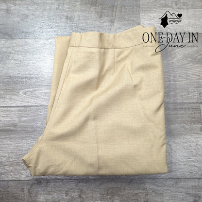 Kasper Straight Leg Dress Pants Size 16