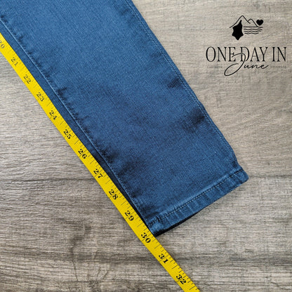AG Adriano Goldschmied Farrah Skinny HighRise Blue Stretch Jeans NWT Size 4 (27)