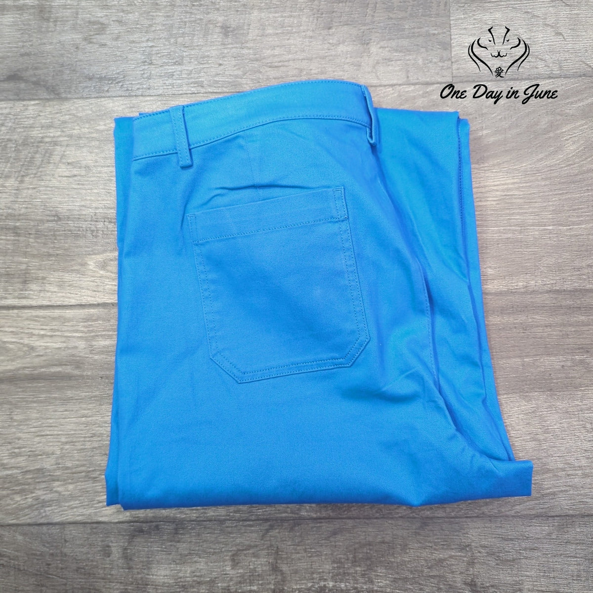 J. Crew High Rise Wide Leg Chino Pants Bright Blue NWT Size 14