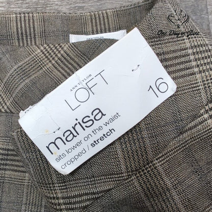 Loft Marissa Cropped Pants Size 16