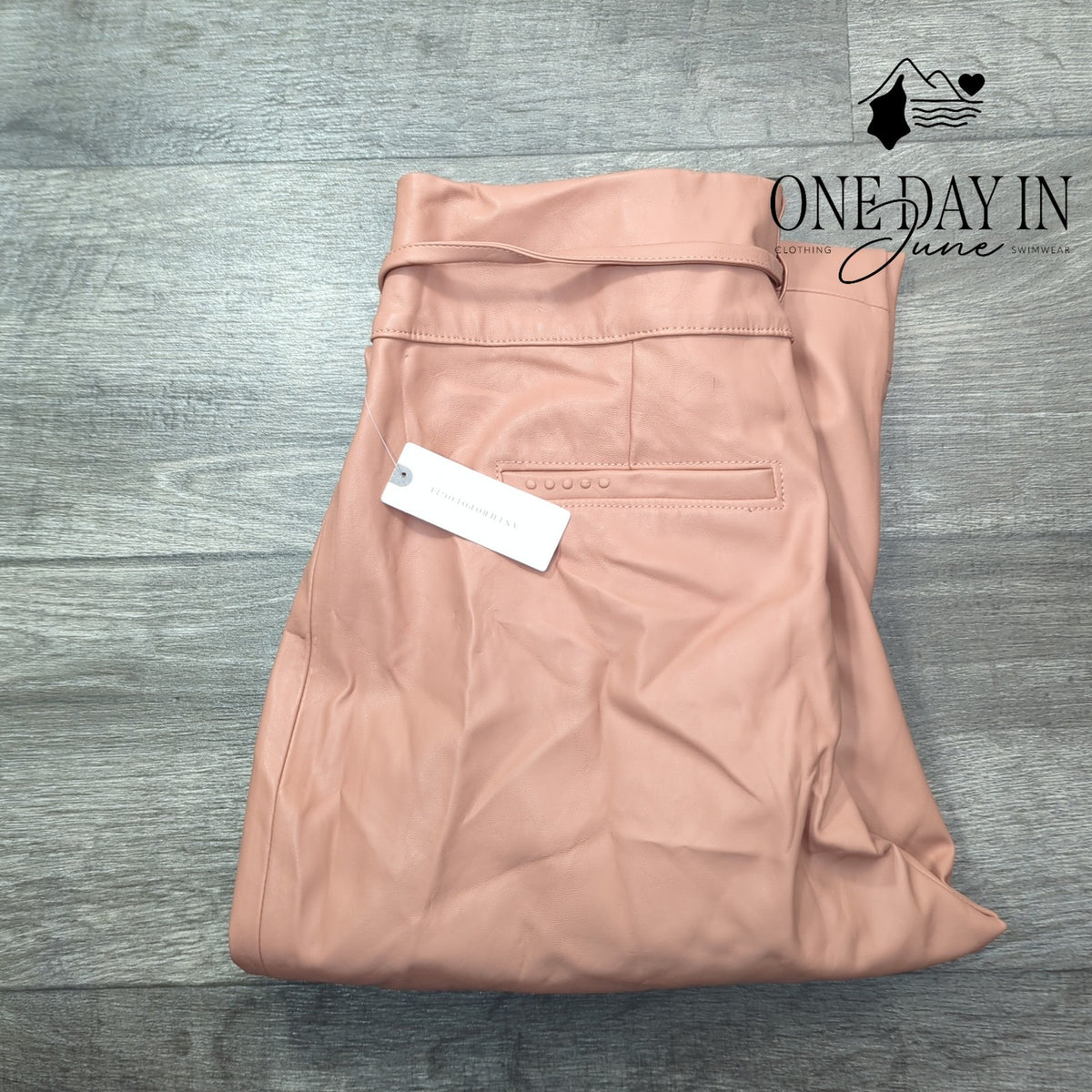 BlankNYC Faux Leather High Rise Pleated Tie Waist Pants Peach Pink NWT Size 6