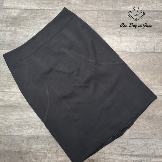 Ann Taylor Pencil Skirt Size 6