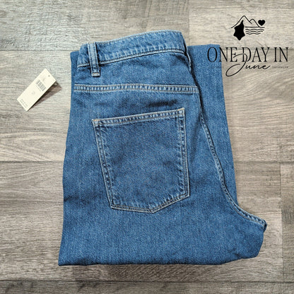 DL1961 Karmine Jeans High Rise Refined Wide Leg DL Aura NWT Size 4 (27)