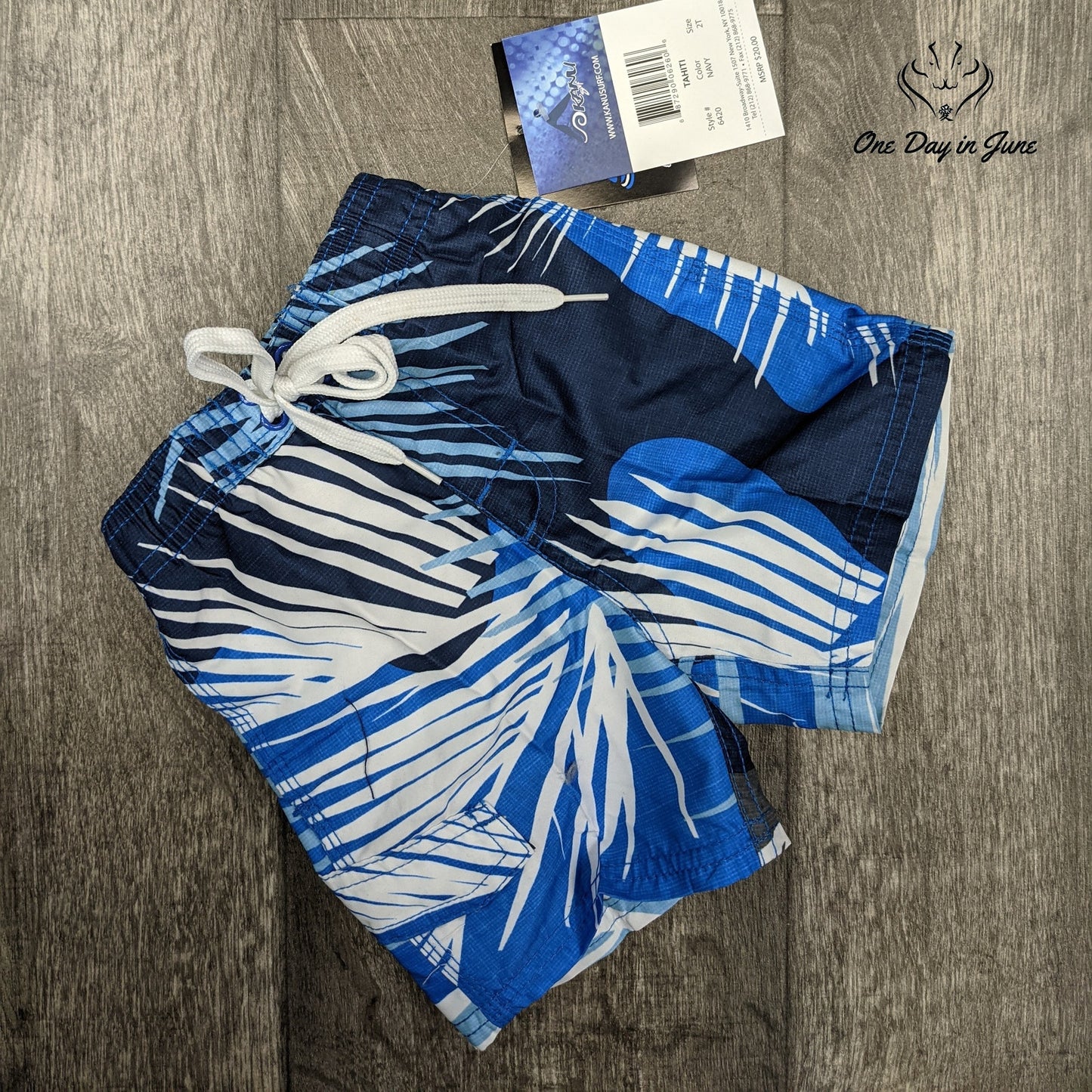 Kanu Surf Avalon Quick Dry Swim Trunks Size 2T