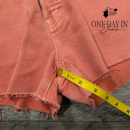 Madewell The Brynn Short Size 2 (26)