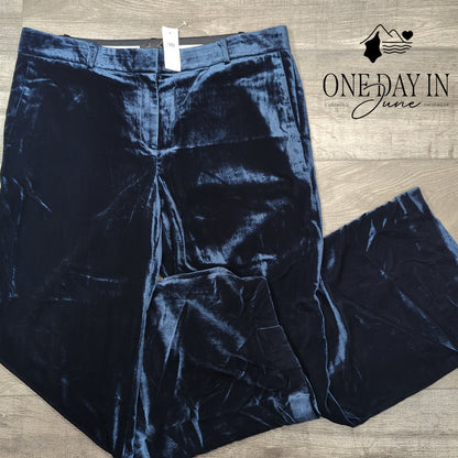 Ann Taylor Velveteen Wide Leg Pants Size 14