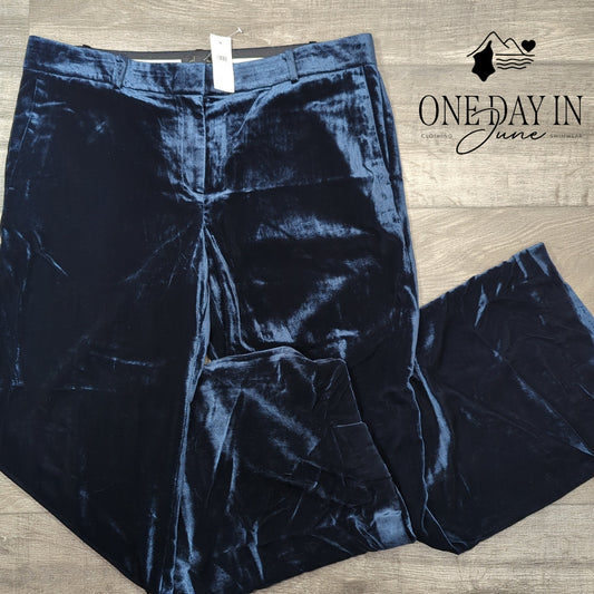 Ann Taylor Velveteen Wide Leg Pants Size 14