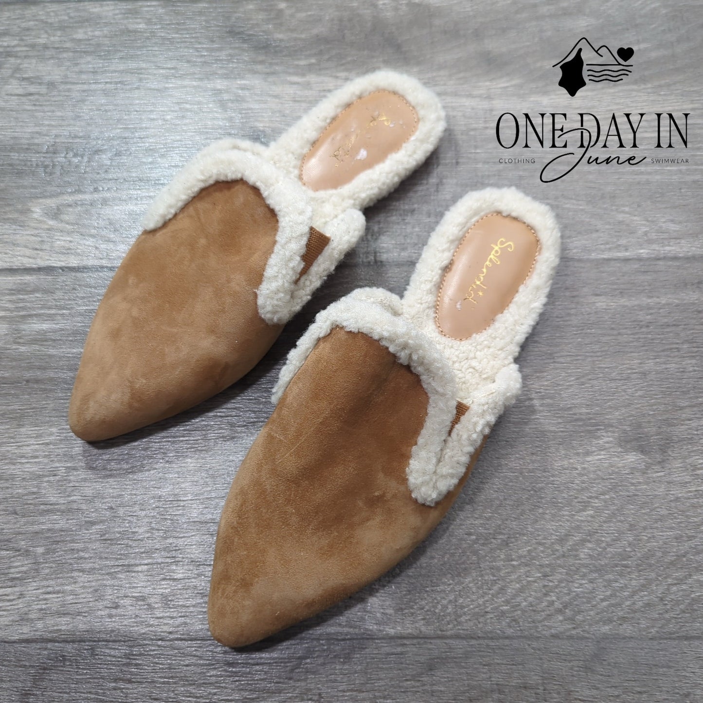 Splendid Liza Pointed Toe Mules Size 9.5