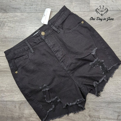 Windsor High Rise Denim Shorts Size M