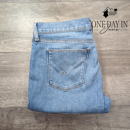 Hudson Krista Ankle Super Skinny Straight Size 29 (8)