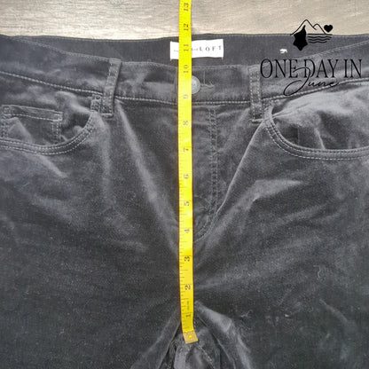 Loft High Waist Velour Pants Size 6