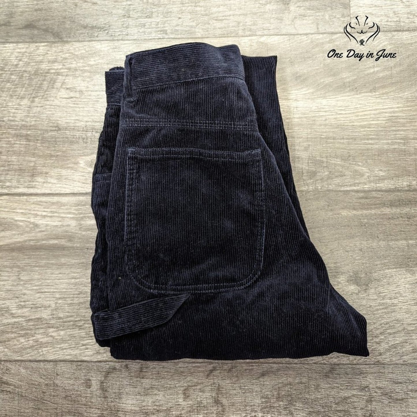 Pacsun John Galt Corduroy Pants Size M