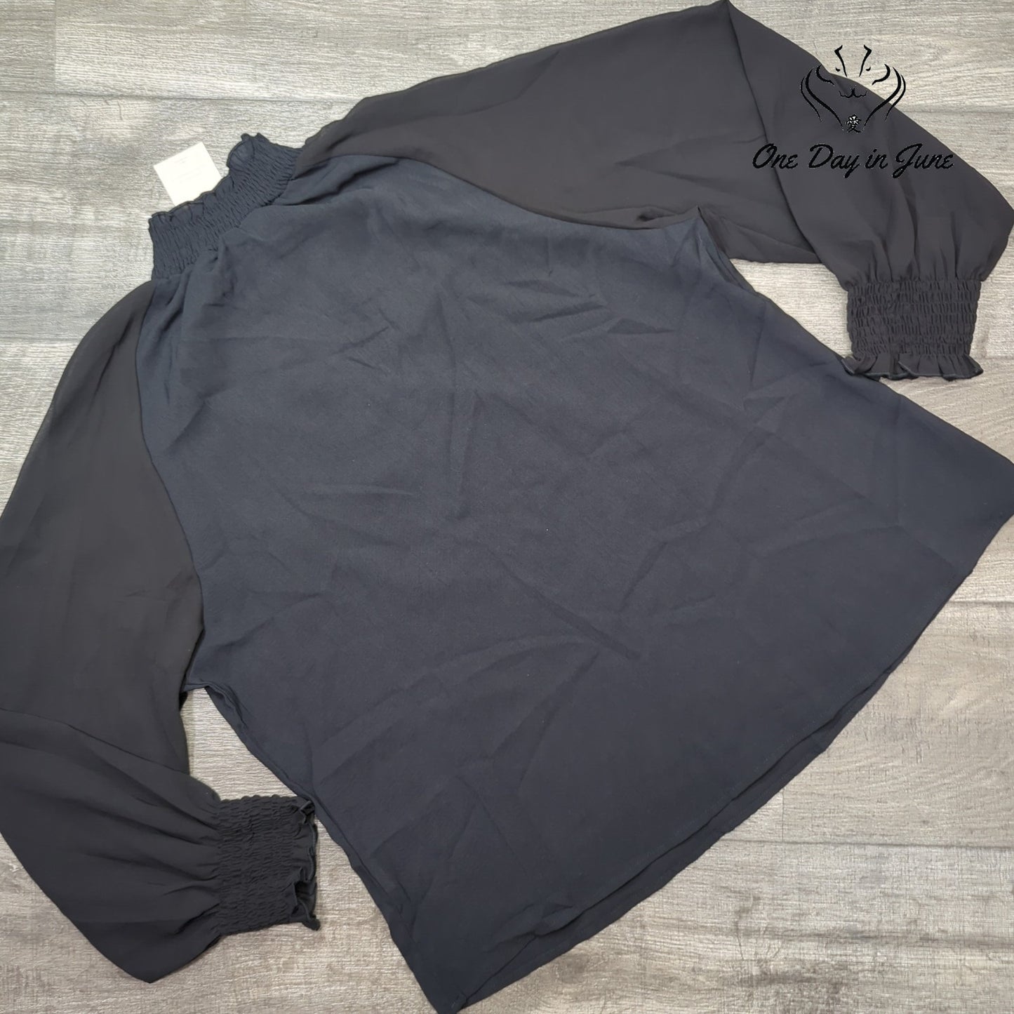 Emery Rose Sheer Long Sleeve Top Size 1XL