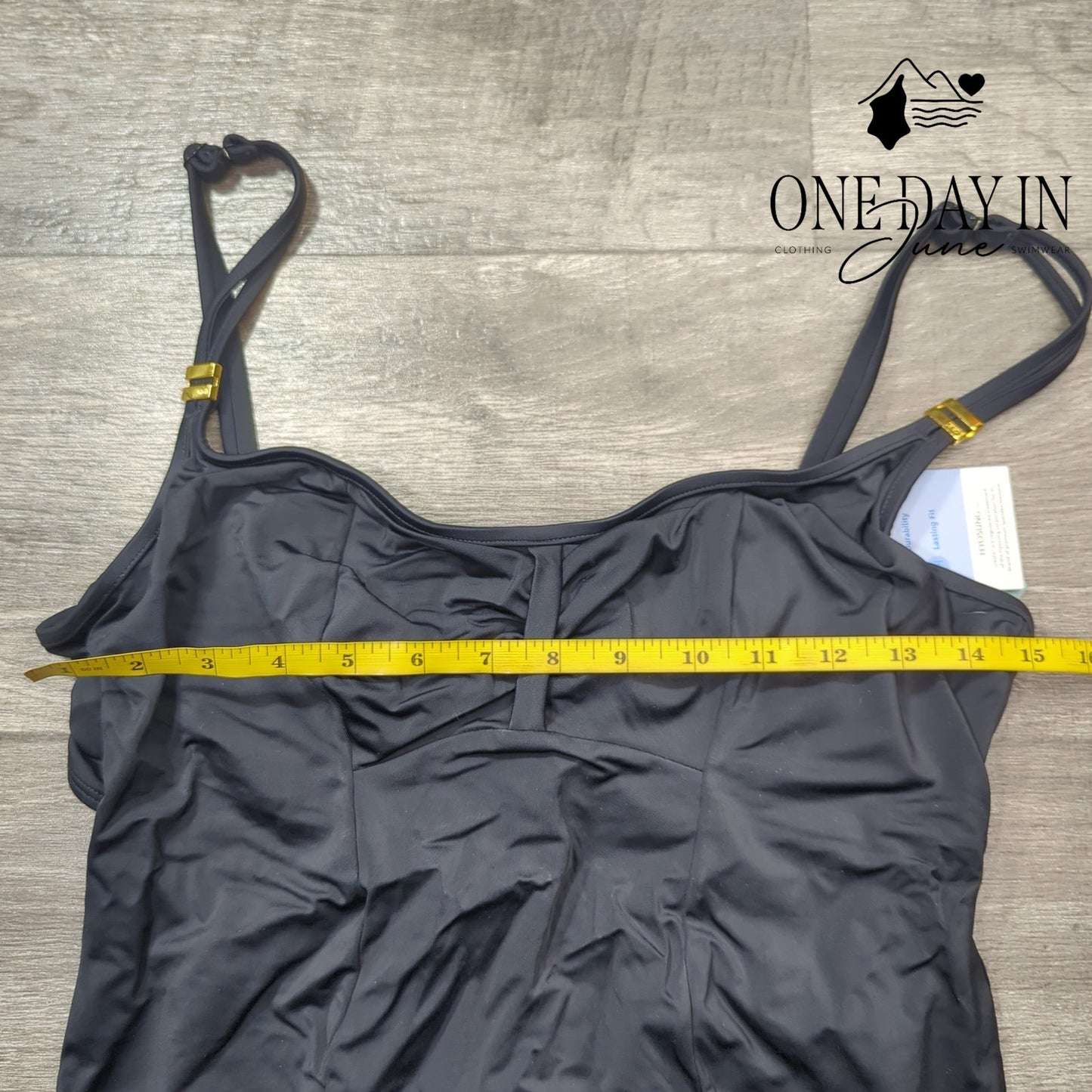 Panache Swim Underwire One Piece Swimsuit Size 36DD