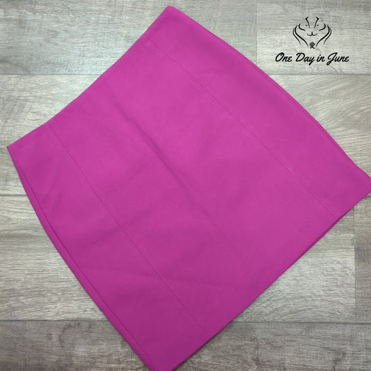 Loft Petite Mini Skirt Size 2P
