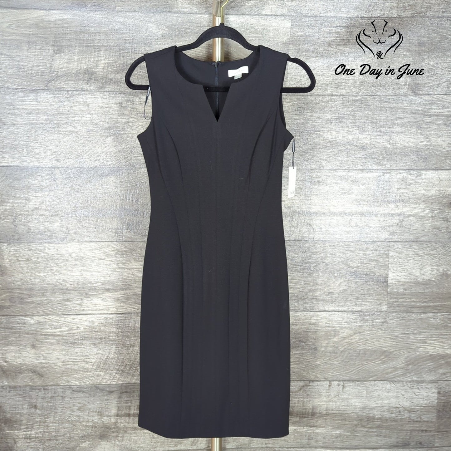 Calvin Klein Sleeveless Mini Dress Size 2