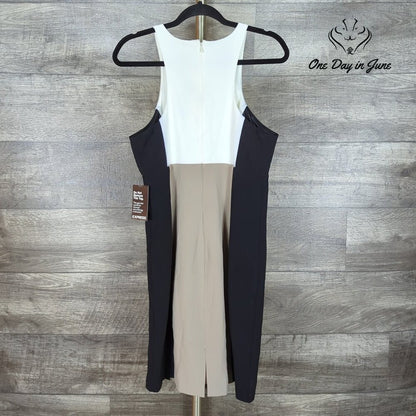 Express Sleeveless Mini Dress Size 12