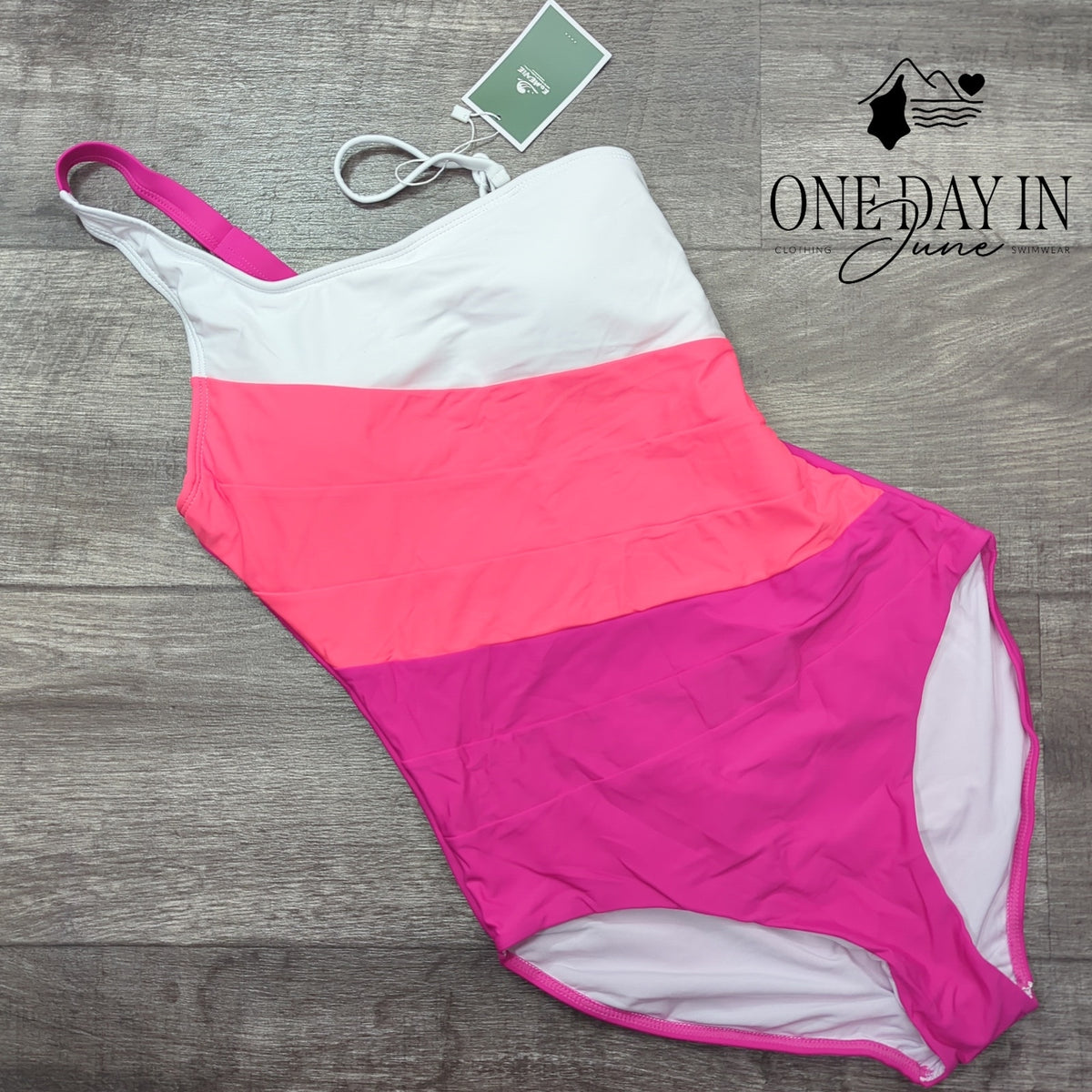 Eomenie One Shoulder One Piece Swimsuit Pink Ombre Colorblock NWT Size M