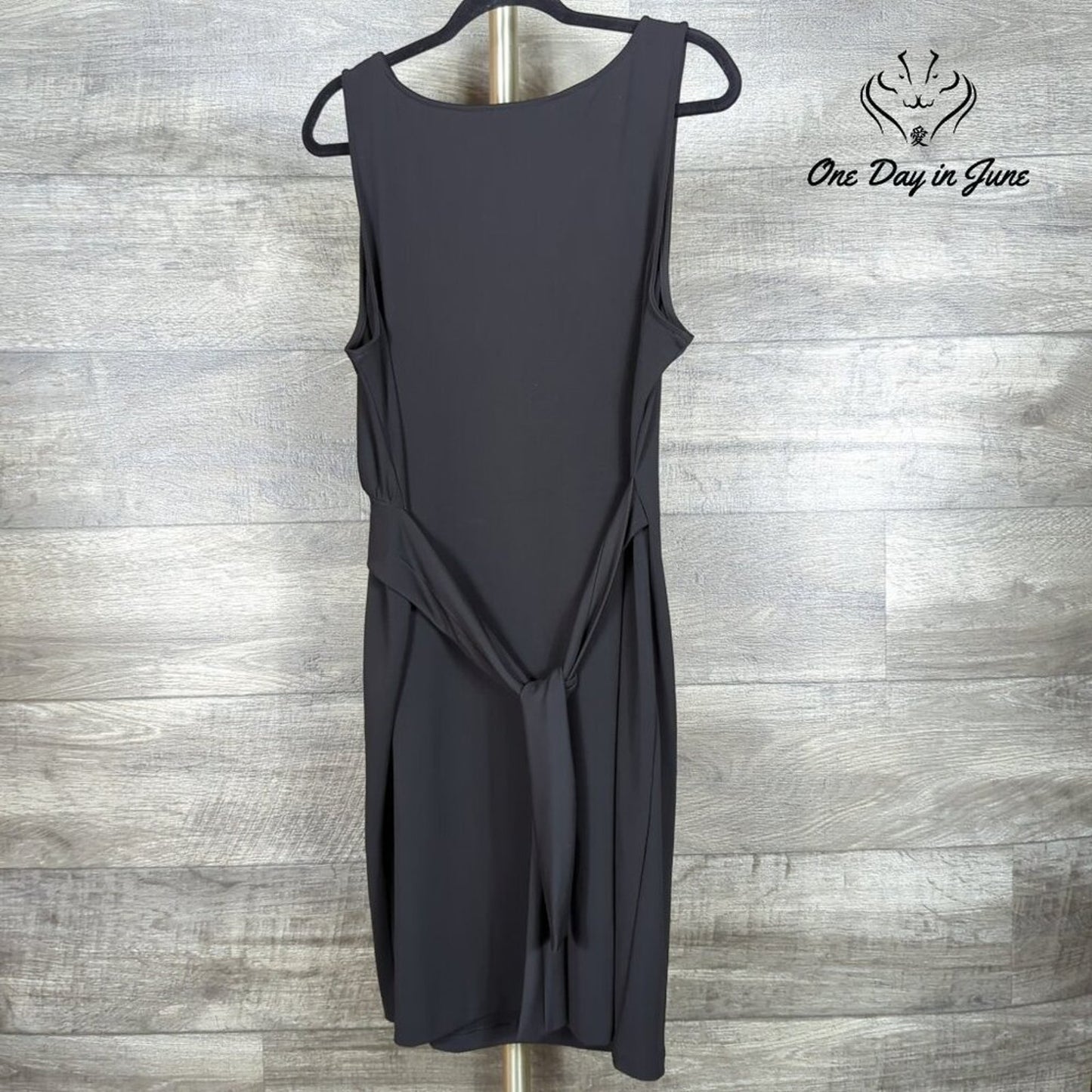 Talbots Petite Tie Waist Sleeveless Dress Size PXL