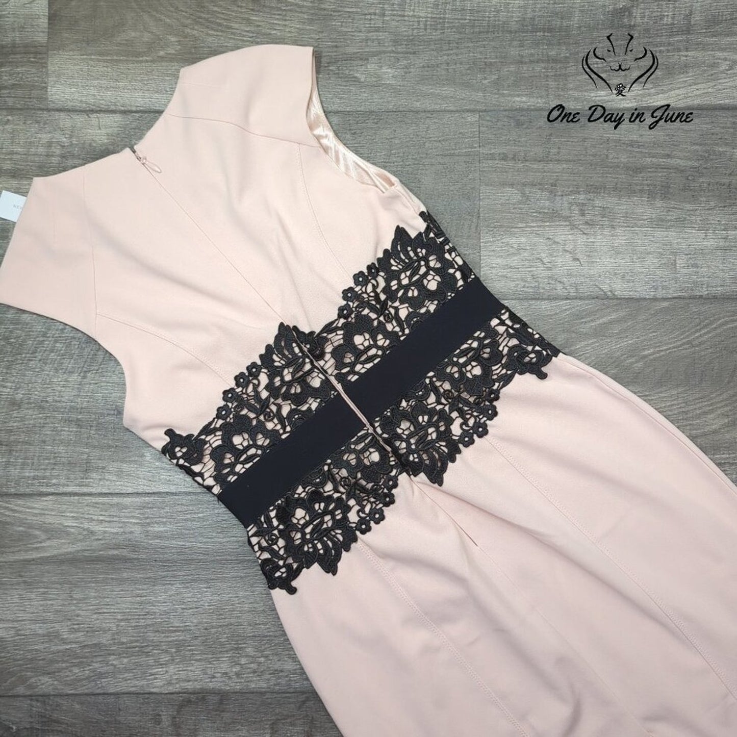 New York & Company Sheath Dress Pink Black Lace Colorblock NWT $79.95 Size S