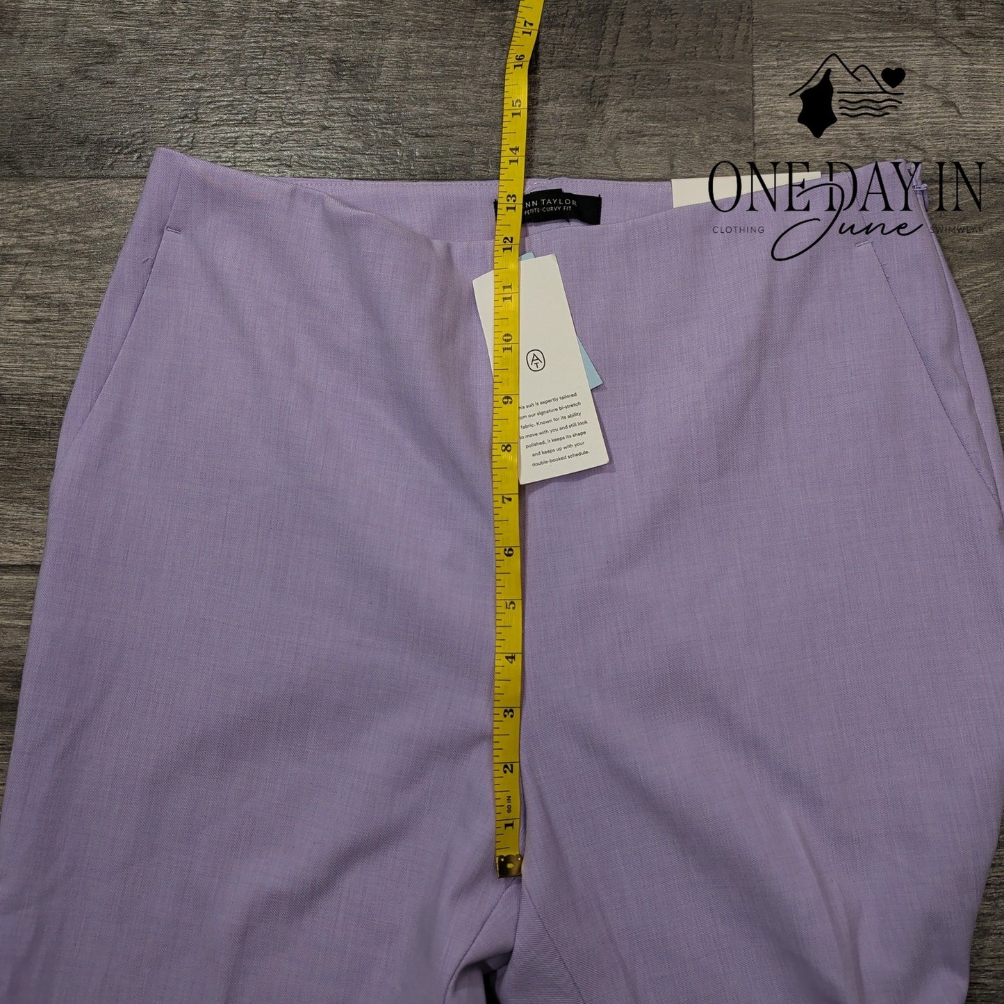Ann Taylor Petite The Ankle High Rise Pants Size 10P