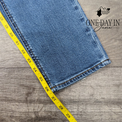 Rag & Bone The Dre Loe Rise Boyfriend Jeans Size 0 (25)