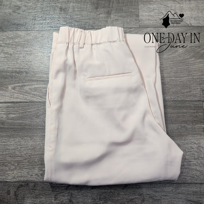 Z Supply Pleated Dress Pants Blush Pink Straight Leg NWT Size M