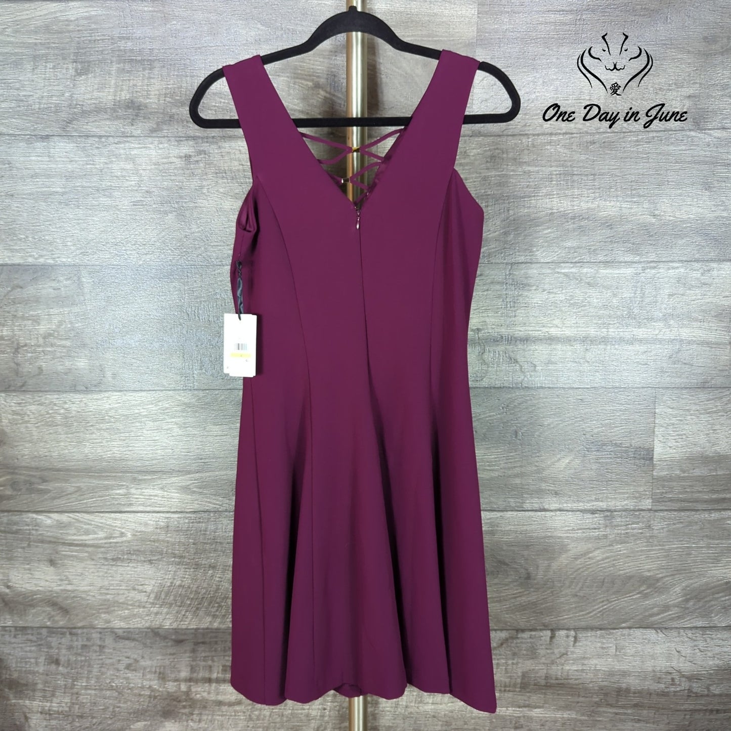 Kensie Sleeveless Mini Dress Size 4