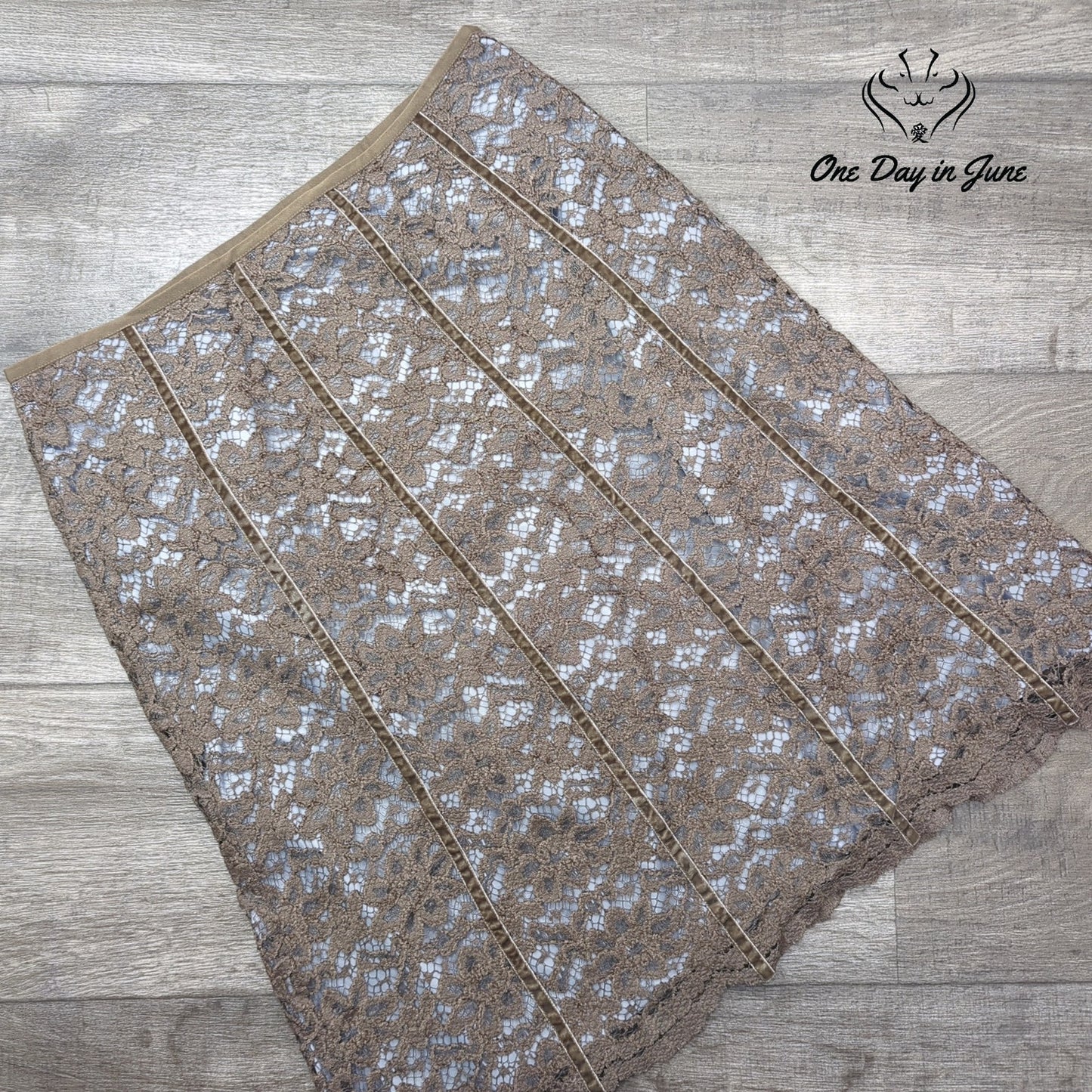 Loft Studio Lace Layered Skirt Size 10