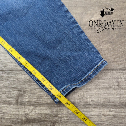 Gap Plus Size Petite True Skinny Jeans Size 18P
