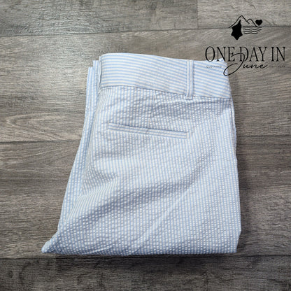 Loft Skinny Ankle Seersucker Pants Blue White Stripe NWT $79.99 Size 14