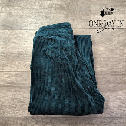 AG Adriano Goldschmied Corduroy Wide Leg Pants Teal Blue NWT Size 4 (27)
