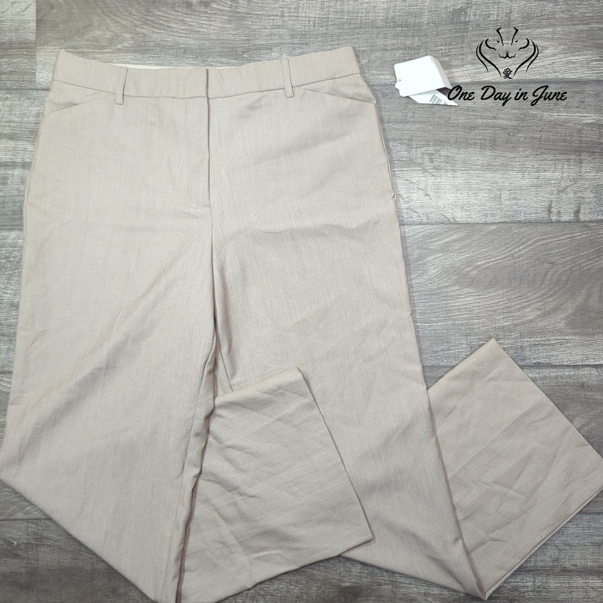 Kim Rogers Fit Solutions Comfort Waist Dress Pants Beige Tan NWT Size 14