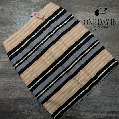 Ann Taylor Petite Striped Pencil Skirt Size 6P
