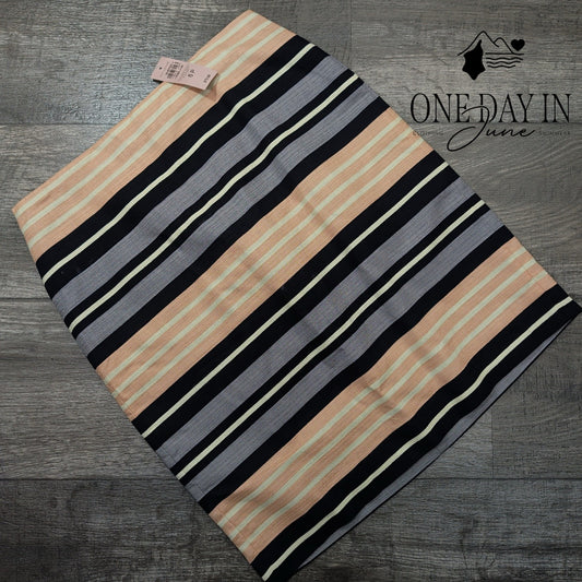 Ann Taylor Petite Striped Pencil Skirt Size 6P
