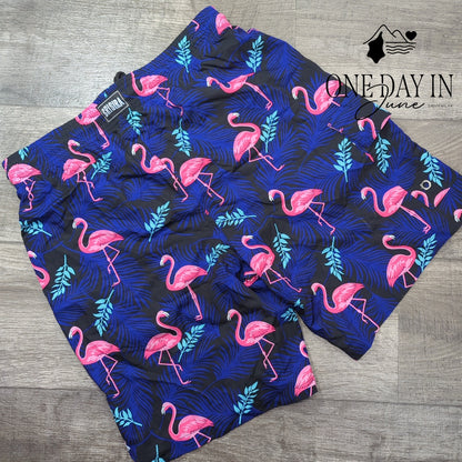 Brisira Flamingo Boardshorts Size 32