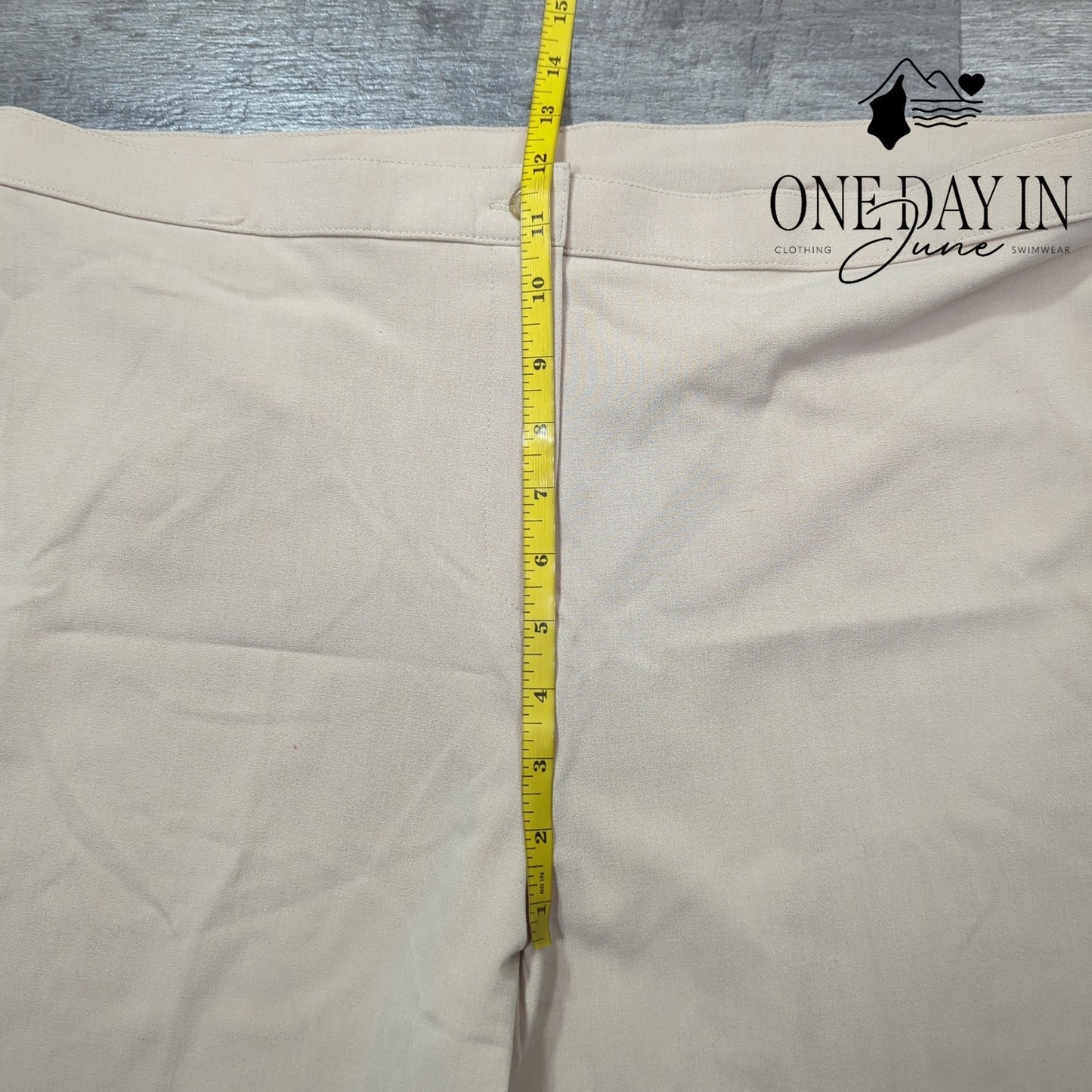 Briggs New York Tummy Flattening Straight Leg Pants Size 16