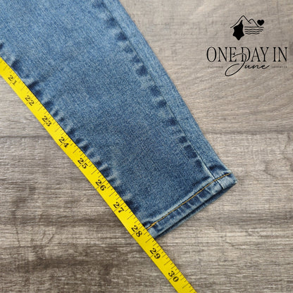 Lucky Brand Bridgette High Rise Skinny Jeans Size 00