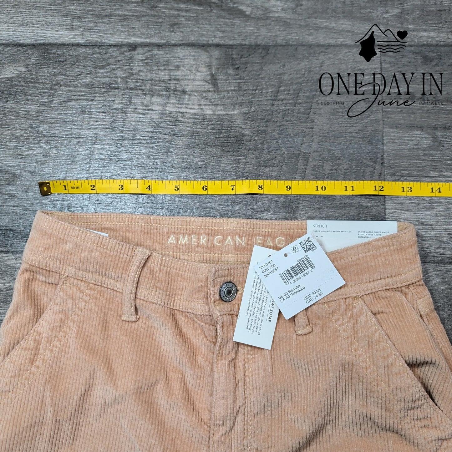 American Eagle Outfitters Super High Rise Baggy Wide Leg Pants Size 00