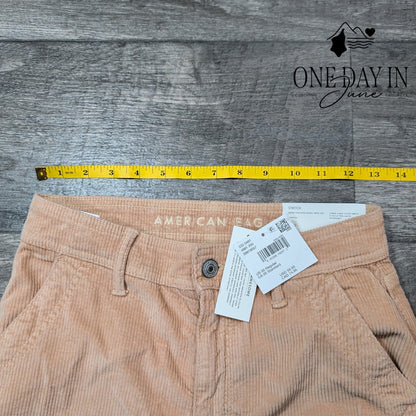 American Eagle Outfitters Super High Rise Baggy Wide Leg Pants Size 00