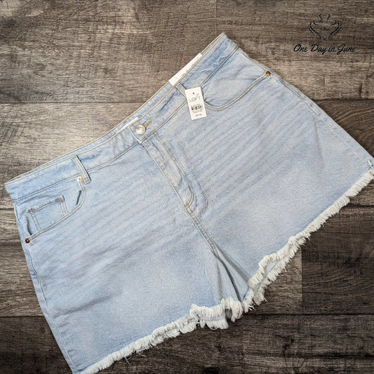 Loft Curvy High Waist Cut Off Denim Shorts Size 18