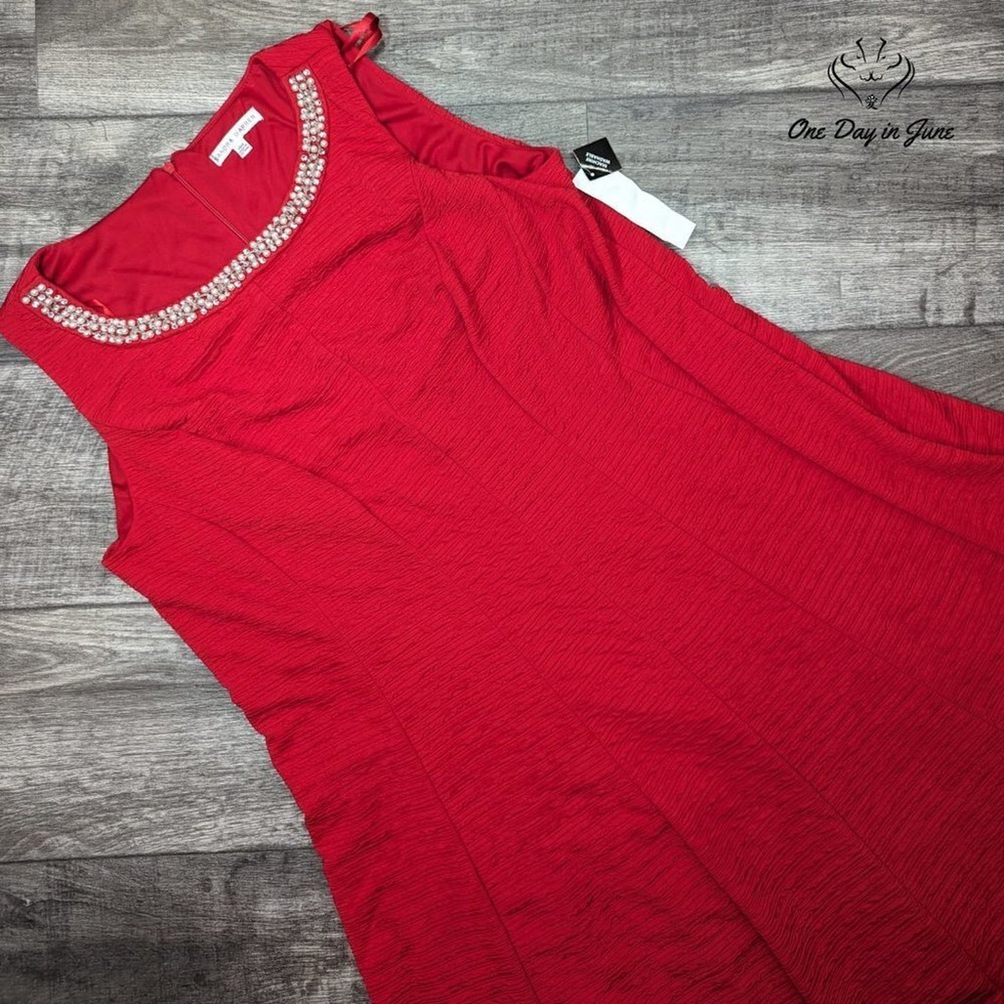 Sandra Darren Plus Size Beaded Collar Sleeveless Dress Size 14W