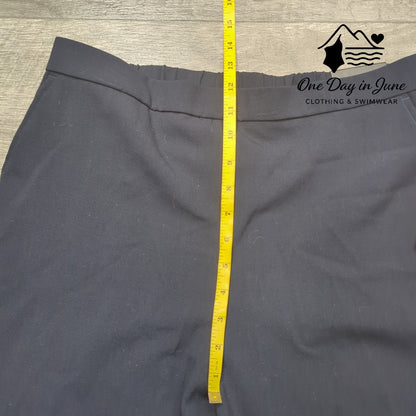 Briggs New York Tummy Slimming Trouser Pants Size 12S
