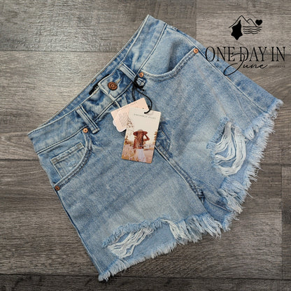 Sincerely Jules High Rise Denim Shorts Size 0