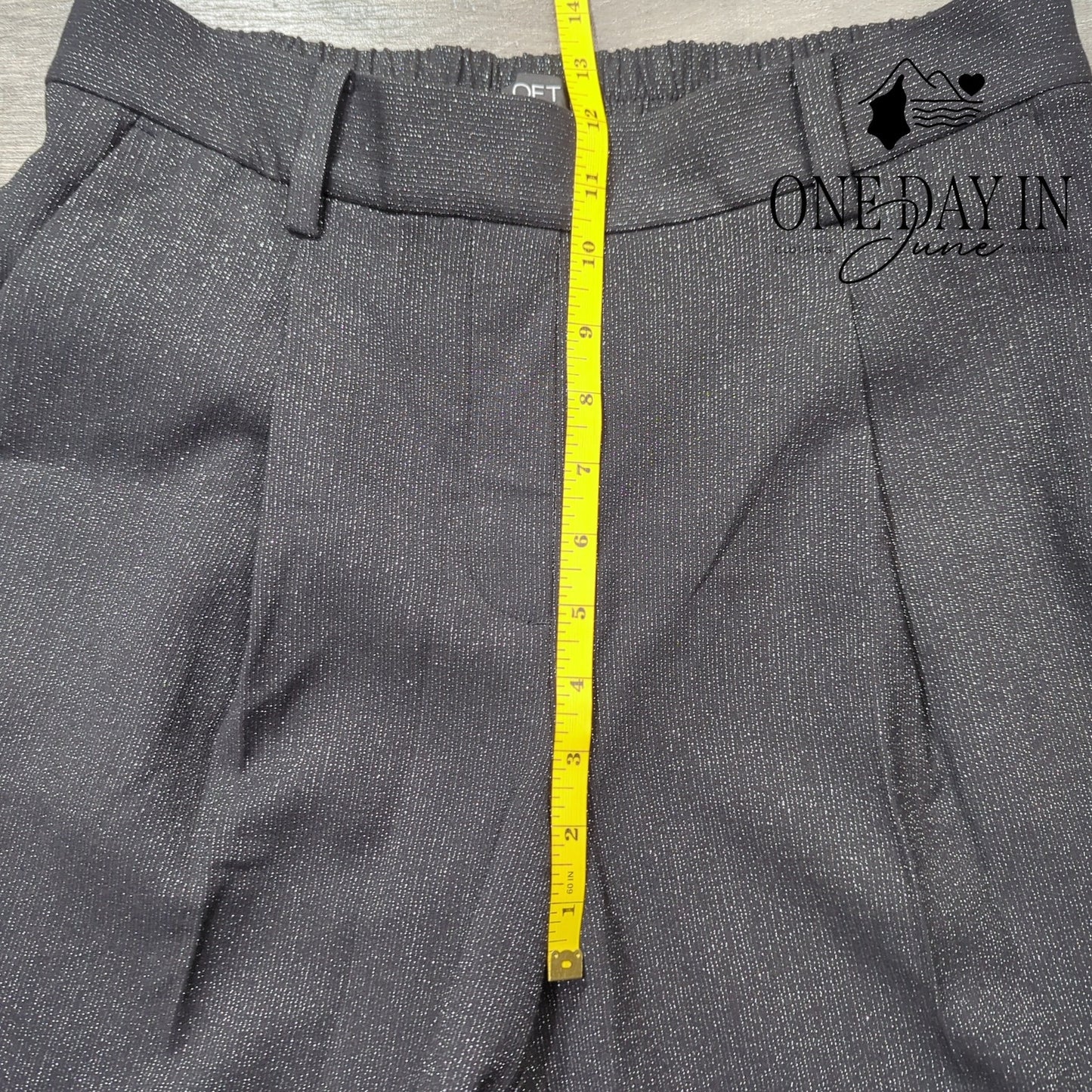 Loft Pull On Metallic Ankle Pants Size M