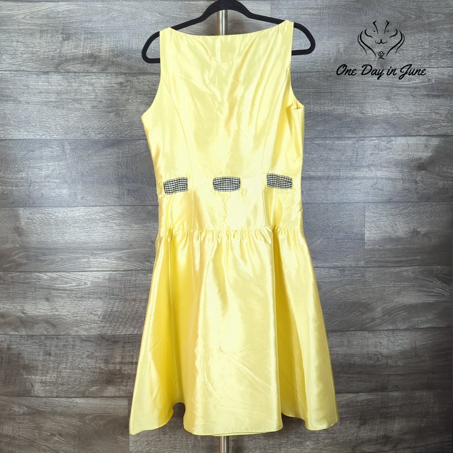 Chetta B A Line Silk Dress Size 12