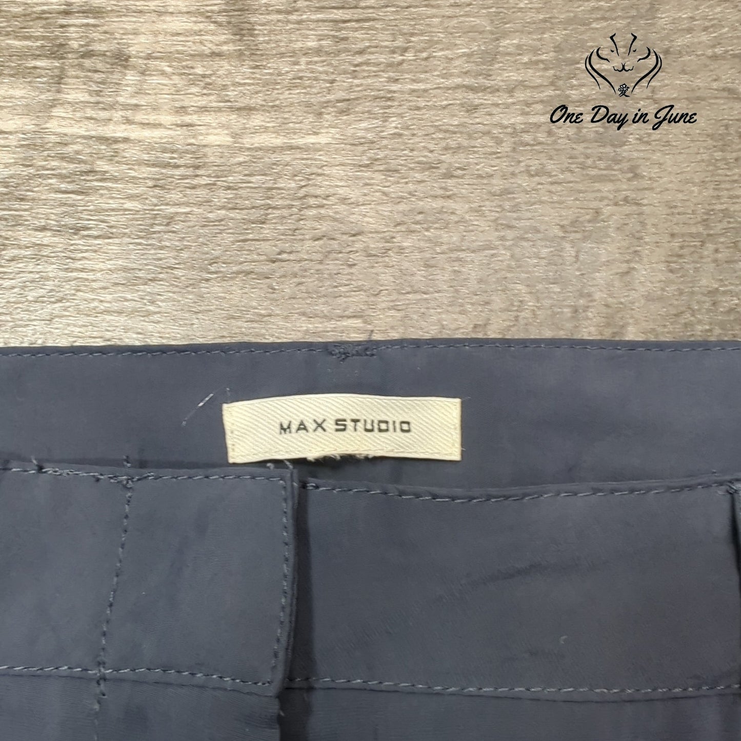 Max Studio Maxi Skirt Size 16