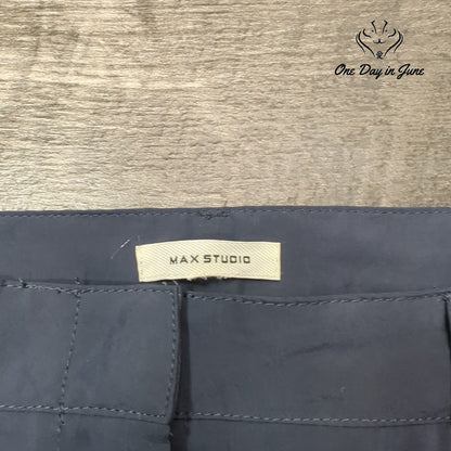 Max Studio Maxi Skirt Size 16